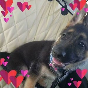 Meet your Posher, Valerie