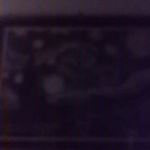 Meet your Posher, Marye