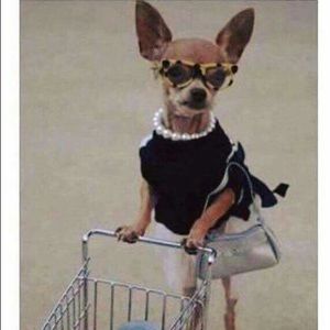 Meet your Posher, Jackie