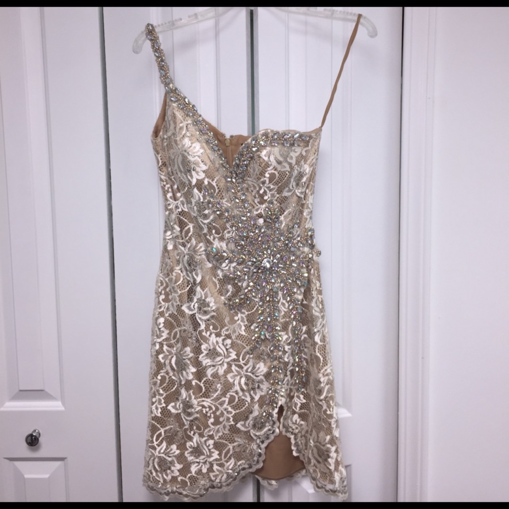 Terani Dress