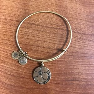 alex and ani