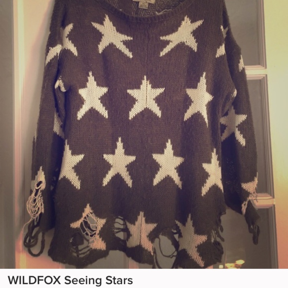Wild fox seeing stars jumper