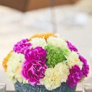 Meet your Posher, Lily