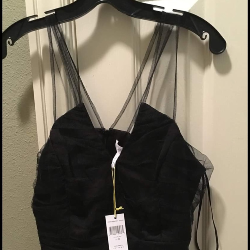 BCBG sheer top