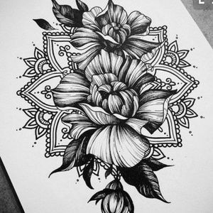 Meet your Posher, Johannah