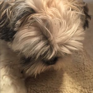 Meet your Posher, Mary jane