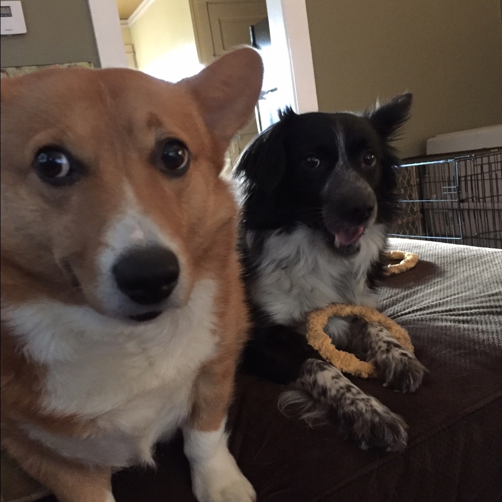 Meet your Posher, Chassidy