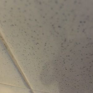 Meet your Posher, Ralph