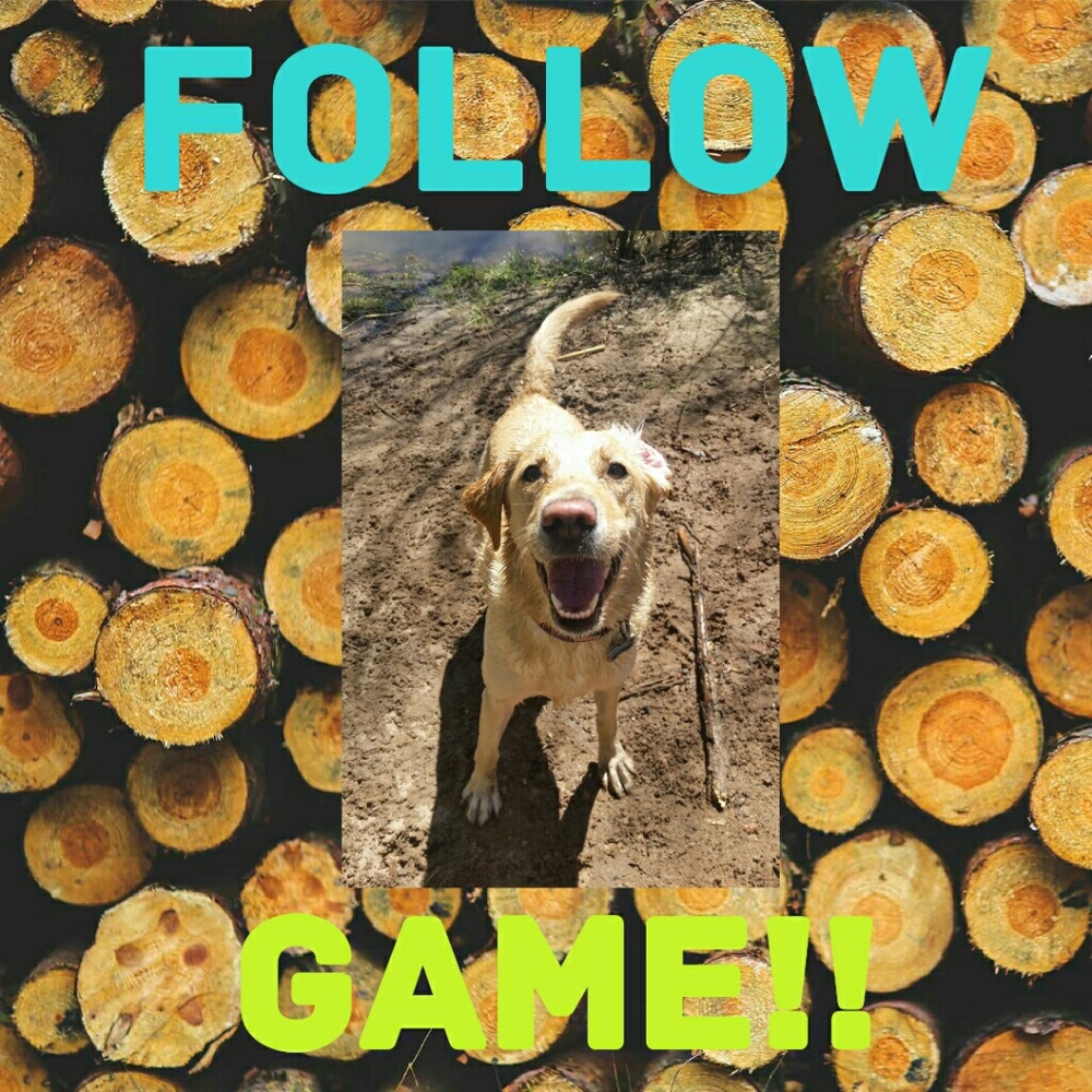 Please like,share, and follow all the new poshers!