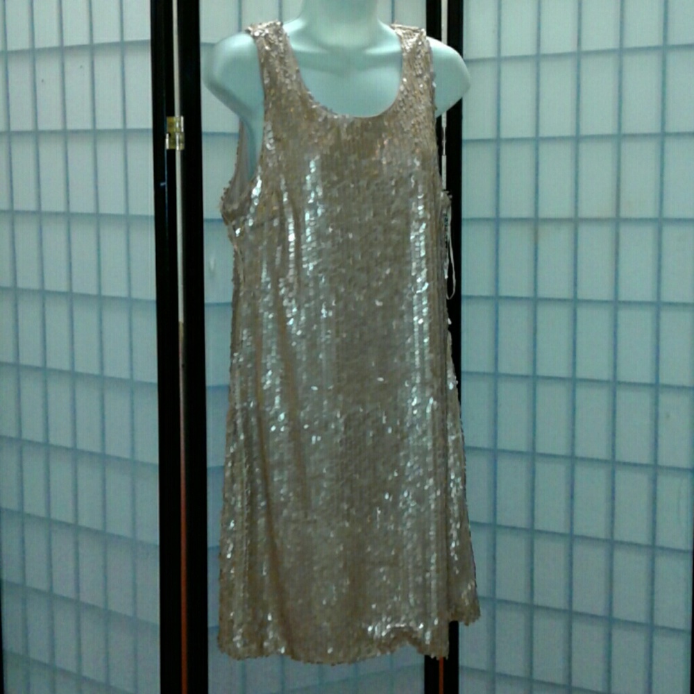 Champagne Dreams Sequin Dress