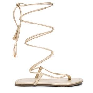 Pilyq Gladiator Sandals