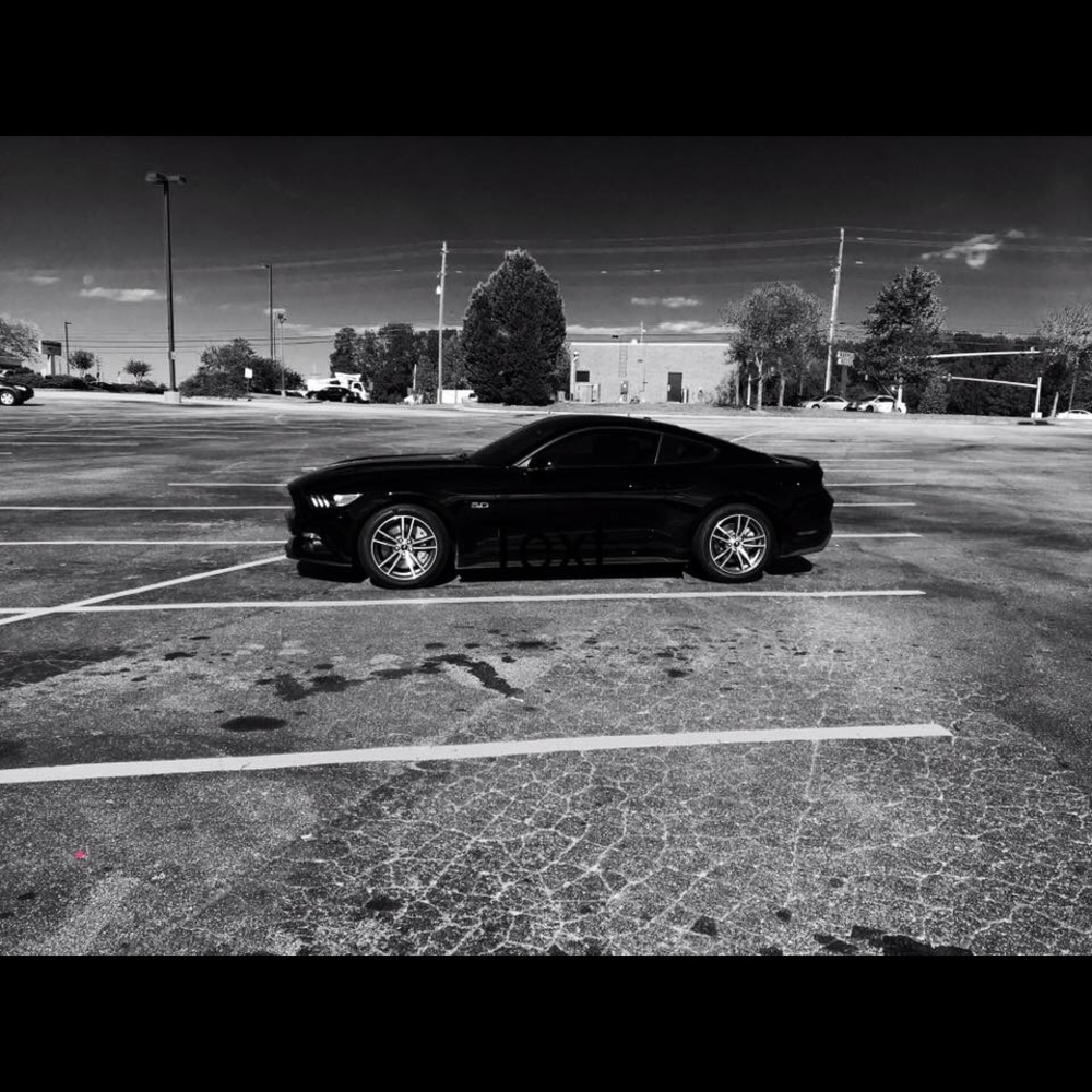 Meet your Posher, Stephanie