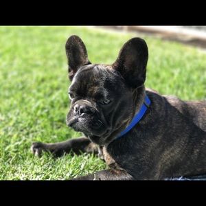 Meet your Posher, Cristi