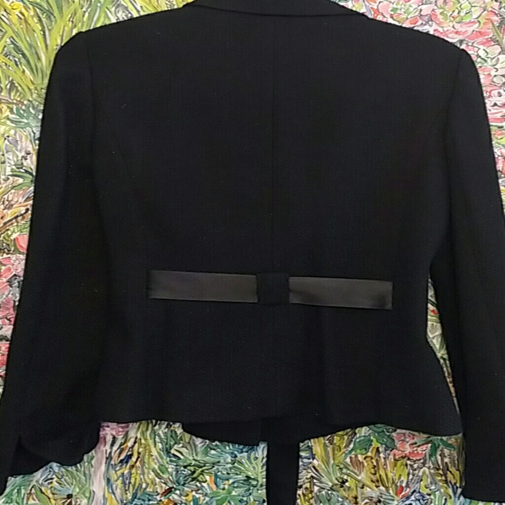 Ann Taylor jacket - Picture 3 of 3