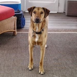 Meet your Posher, Cagney