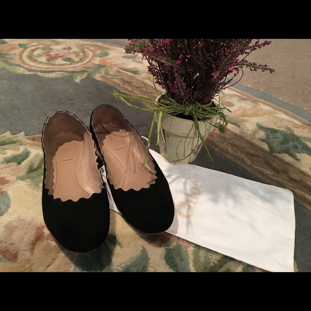 Chloe Lauren Ballerinas Flats