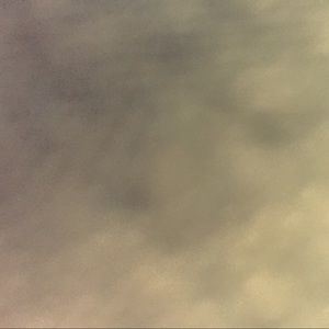 Meet your Posher, Payton