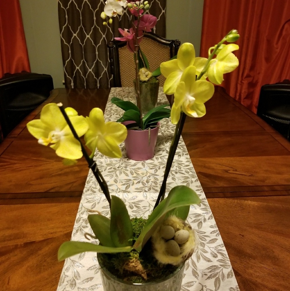 Meet your Posher, Ivette