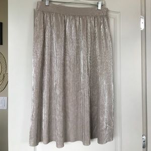Gorgeous Beige and Silver Midi Skirt Gorgeous Beige and Silver Midi Skirt