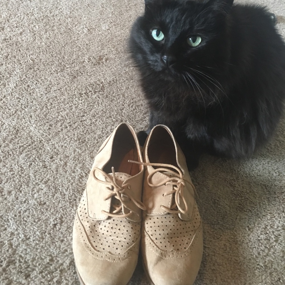 Beige classic oxfords