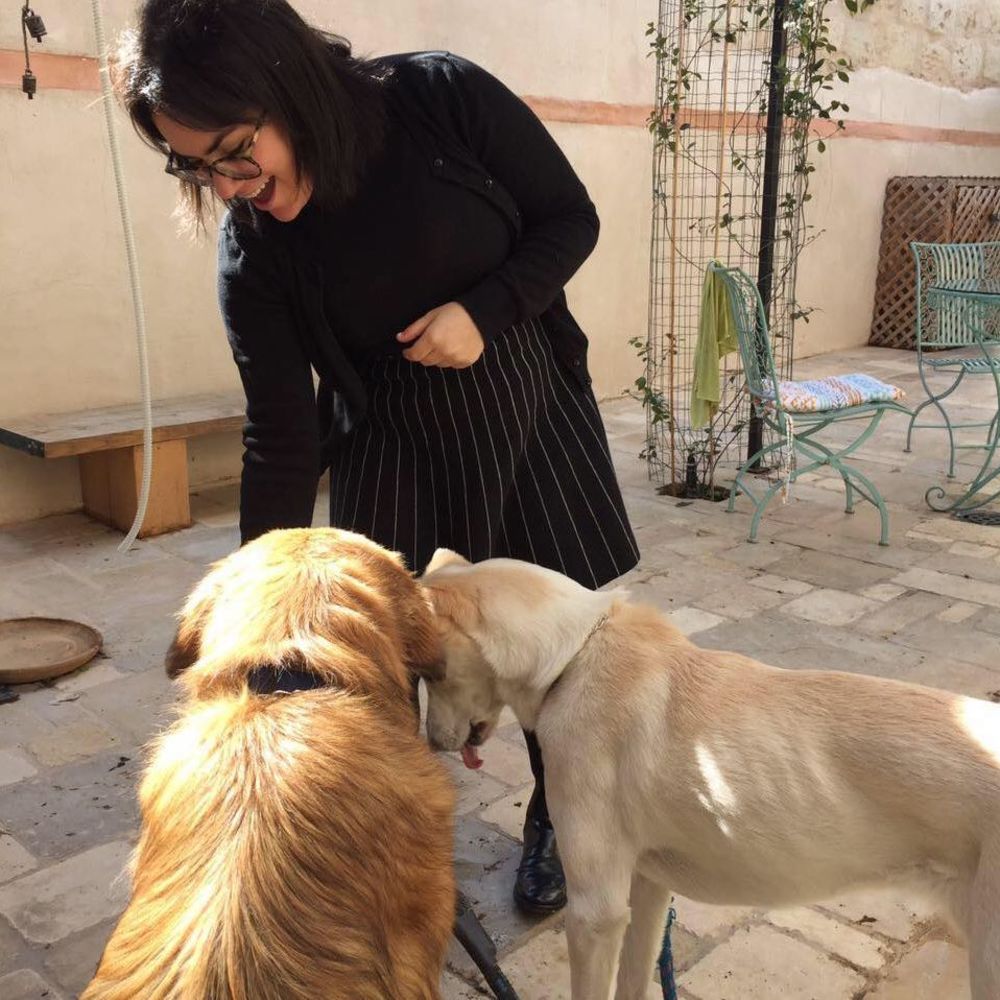 Meet your Posher, Bernie