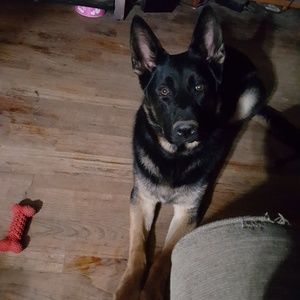 Meet your Posher, Krystal