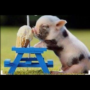 Meet your Posher, Sydney