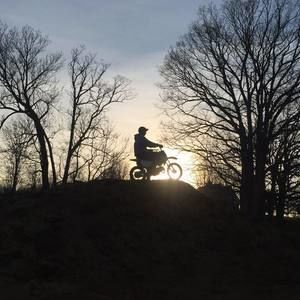 Meet your Posher, Carlisle