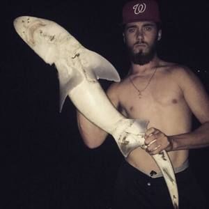 Meet your Posher, Jake