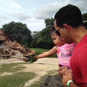 Meet your Posher, Alex