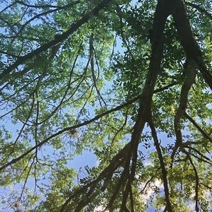 Meet your Posher, Dee