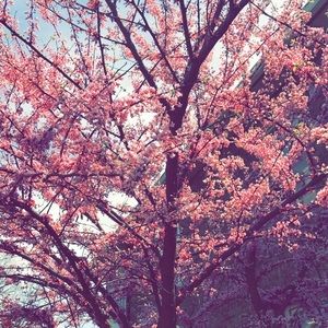 Meet your Posher, Kara