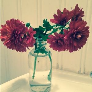 Meet your Posher, Meredith