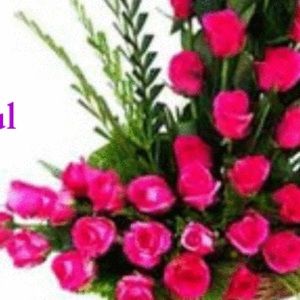 Meet your Posher, Manjit