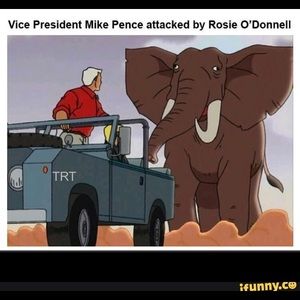 Meet your Posher, Carolyn