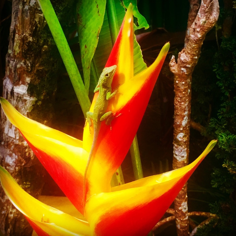 Meet your Posher, Carryn