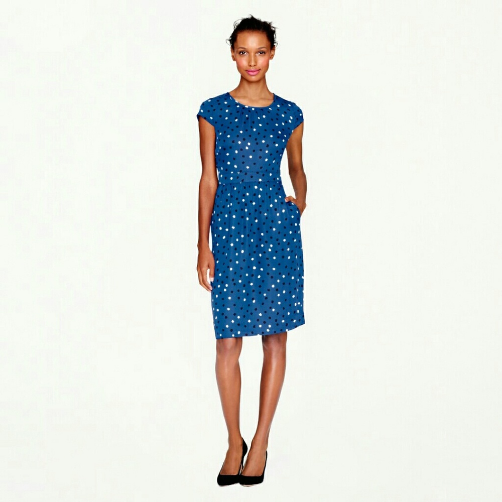 J.Crew Dress