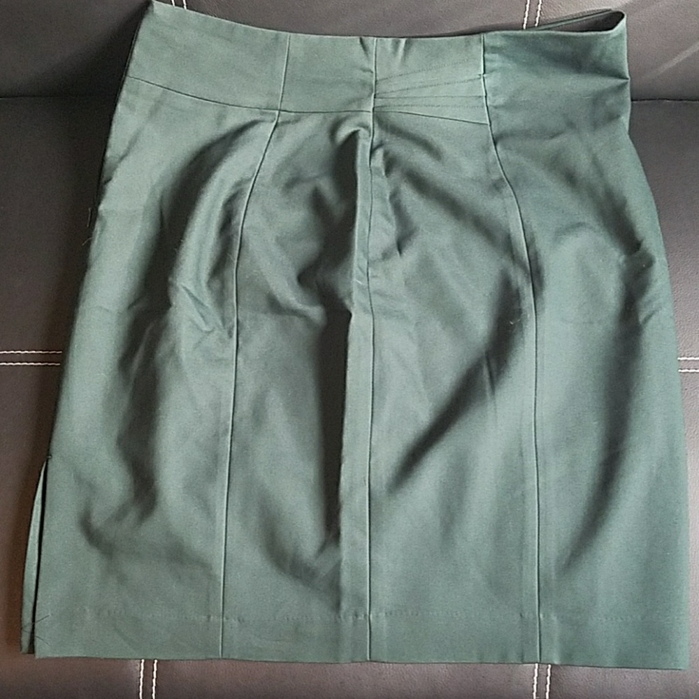 Express Pencil Skirt