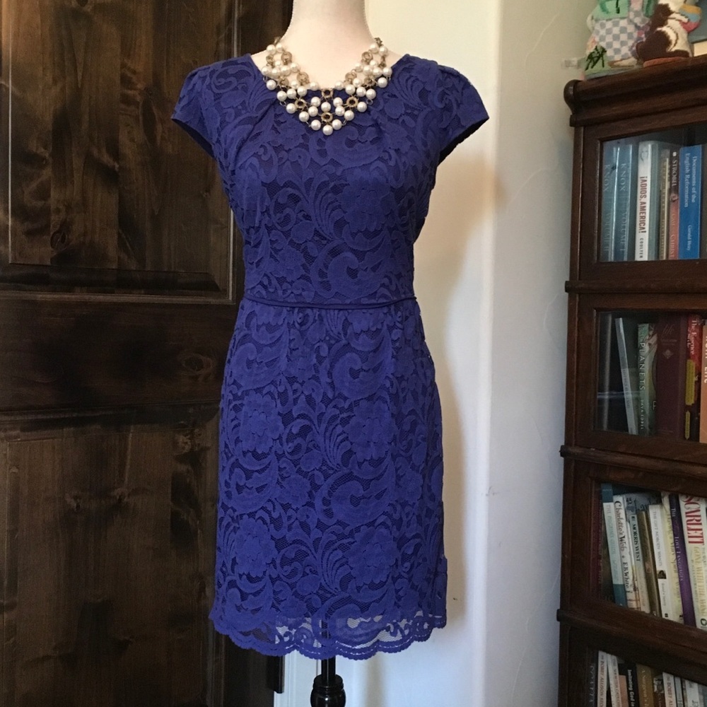 GORGEOUS soft navy lace dress