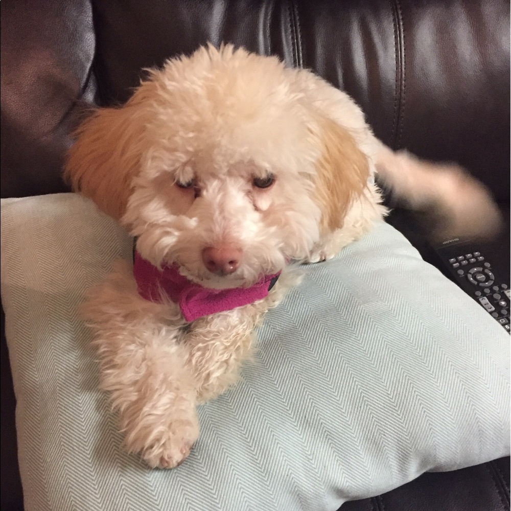 Meet your Posher, Michelle