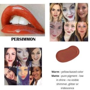 LipSense Starter Kit -Persimmon