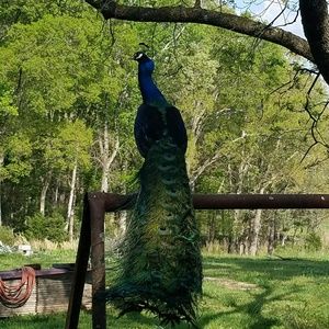 Meet your Posher, Danny