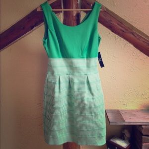 Green and white dress from New York & Company.
