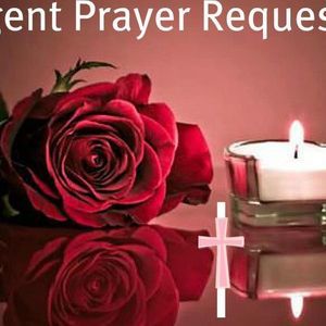 Meet your Posher, Maria michelle