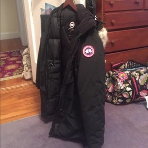 Large long Canada goose