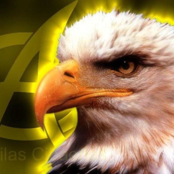 Meet your Posher, Guillermo - Picture 1 of 1