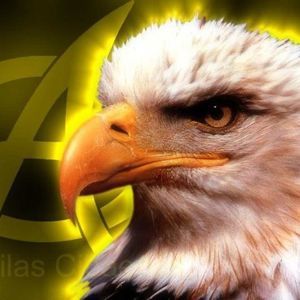 Meet your Posher, Guillermo