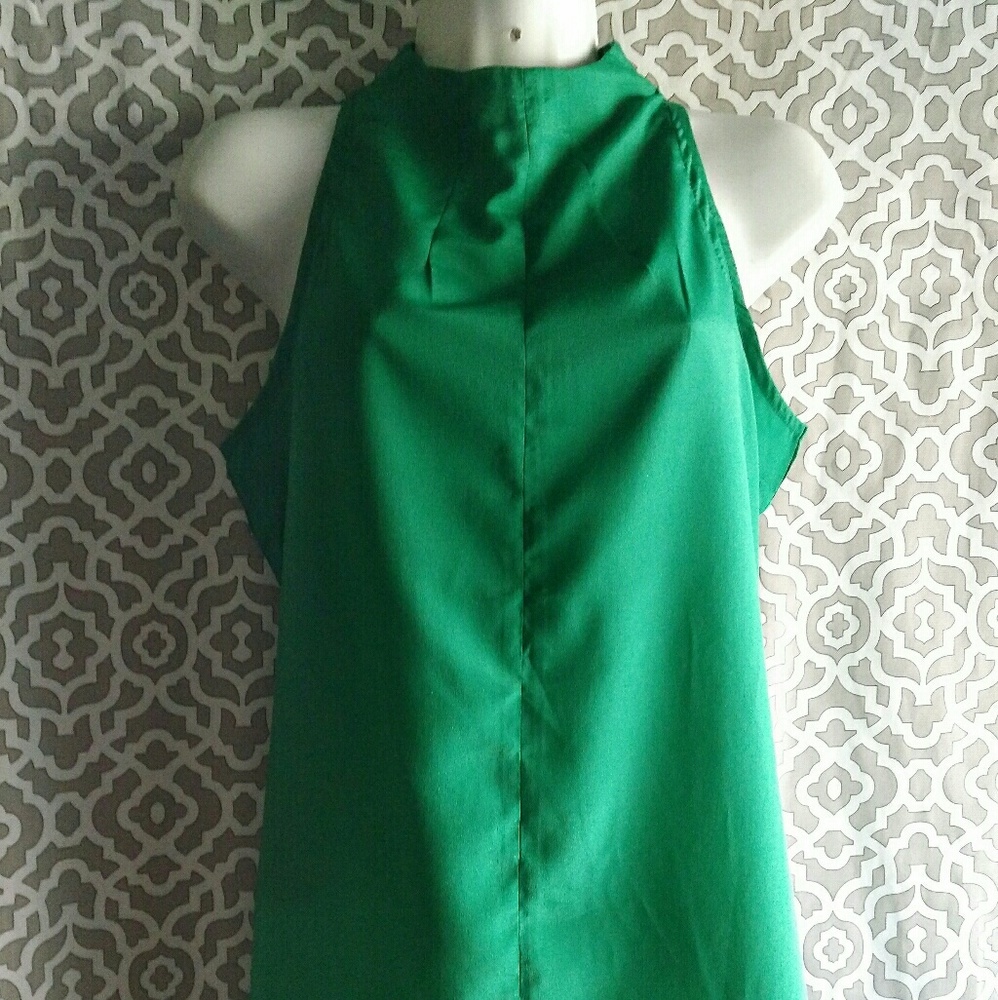 NWT The Limited Cute Green Top