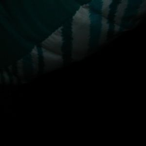 Meet your Posher, Jamillah