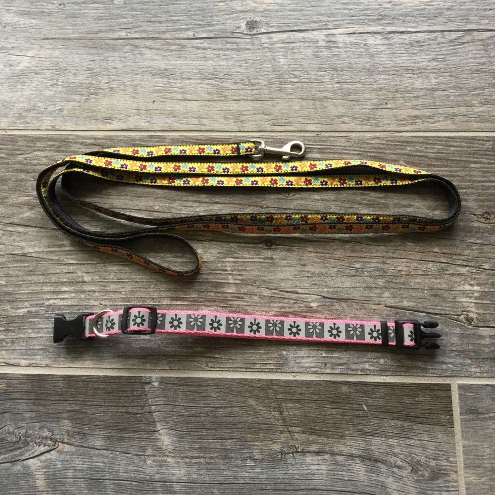 Dog Leash and Collar (11"-17") Set